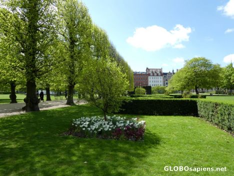 Postcard The King's Garden