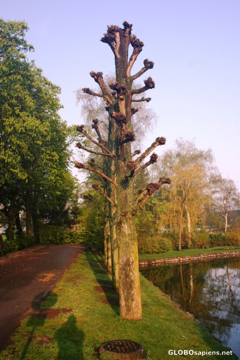 Postcard Hvidovre; Storegade park I