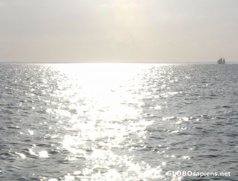 Postcard bright sea