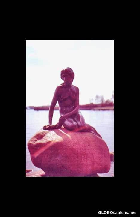 Postcard Little Mermaid