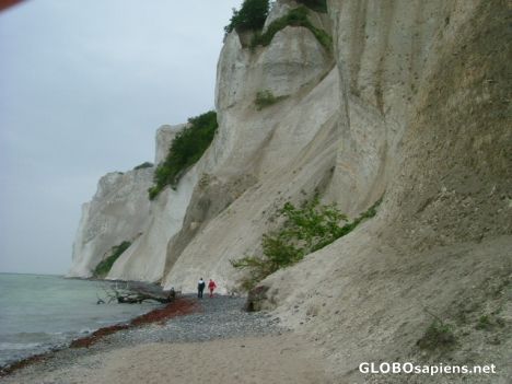 Postcard møns klint