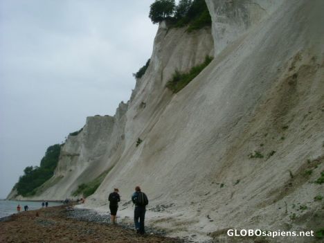 Postcard møns klint