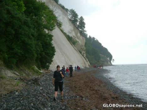 Postcard møns klint