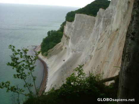 Postcard møns klint