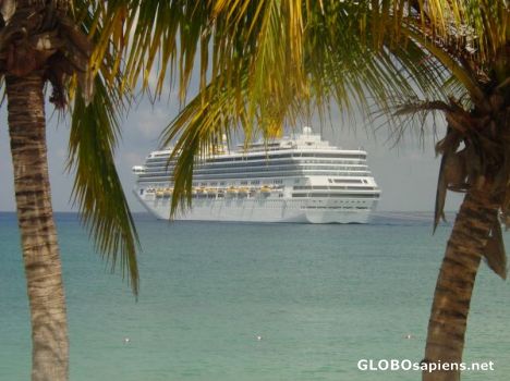 Postcard The Cruise Ship