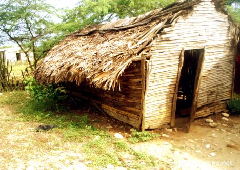 Postcard Wood house