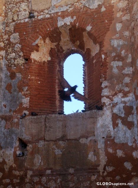 Postcard Ruinas de San Francisco VIII