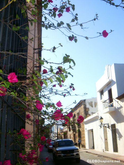 Postcard Calles en la Zona Colonial X