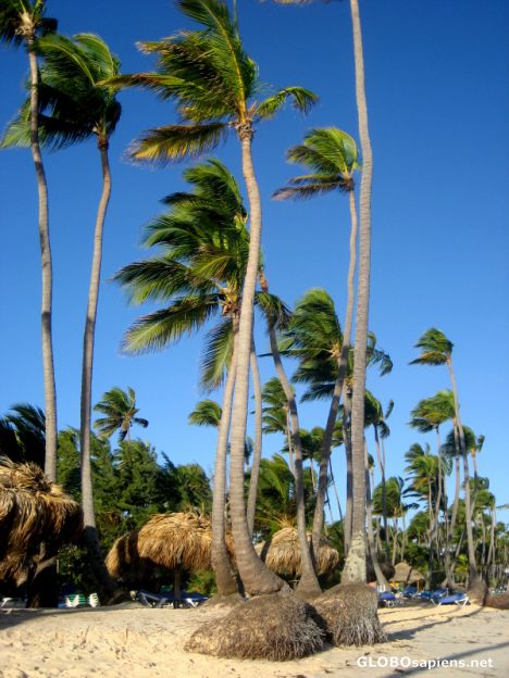 Postcard Dominican Republic - Punta Cana