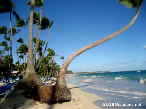 Postcard Dominican republic - Punta cana