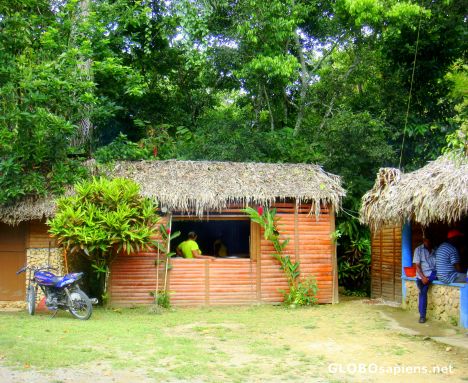Postcard colorful wood house