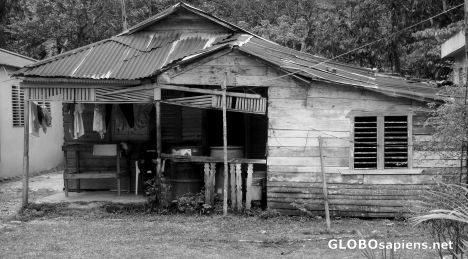Postcard woodhouse