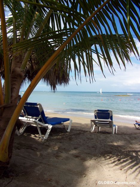 Postcard Relaxing on the beach, bahia principe