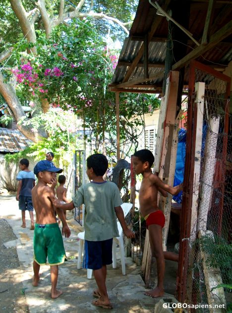 Postcard boys playing
