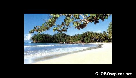 Postcard Samana Beach