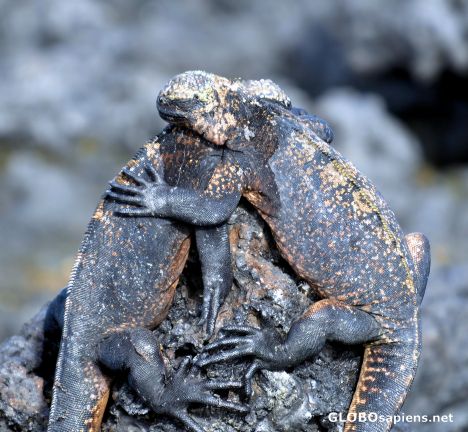 Postcard True love!