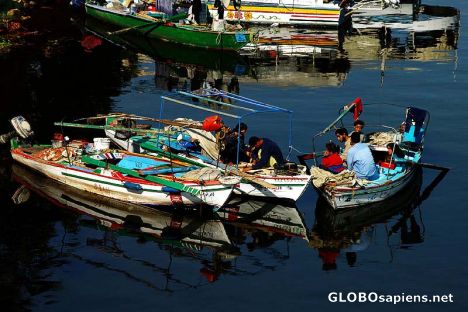 Postcard colourful boats