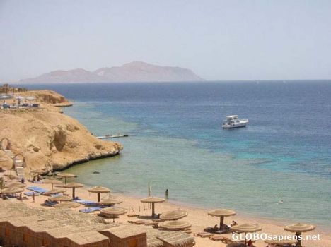 Postcard Red Sea