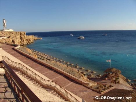 Postcard Red Sea
