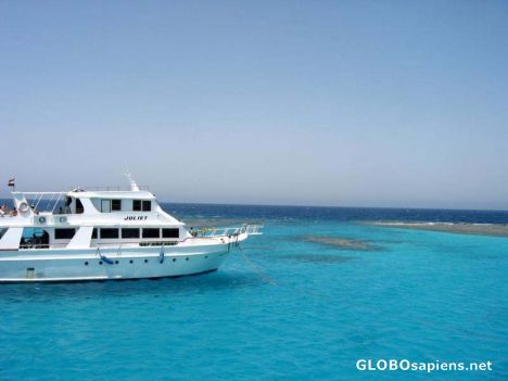 Postcard Red Sea
