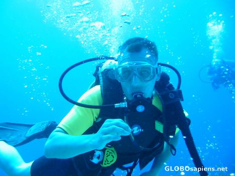 Postcard Scuba Diving