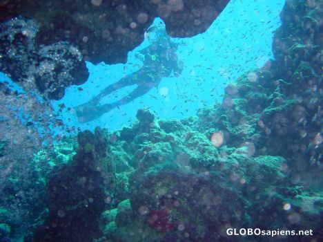 Postcard Scuba Diving