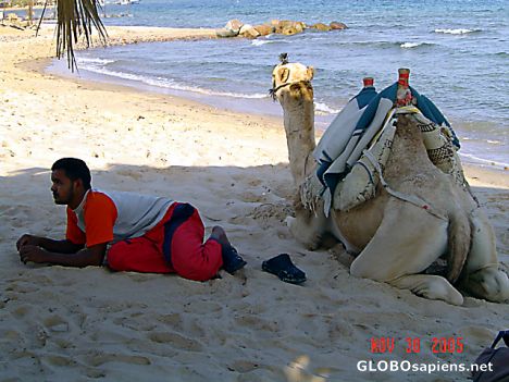 Postcard Egypt - Nuweiba