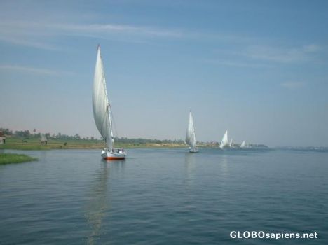 Postcard Felocca on the Nile river