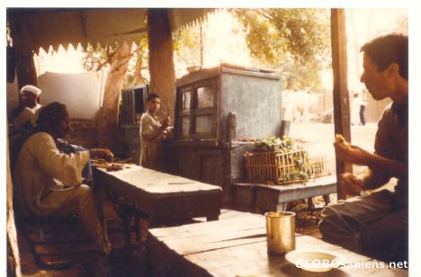 Postcard Sometimes I ate falafels in the stalls by the Nile