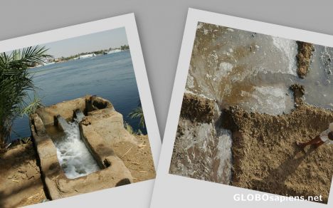 Postcard IRRIGATION SYSTEM