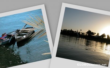 Postcard nature
