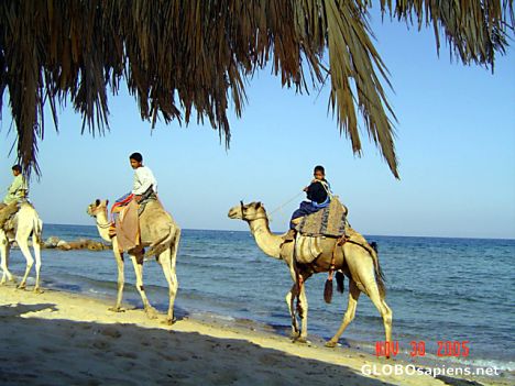 Postcard Sharm el Sheikh