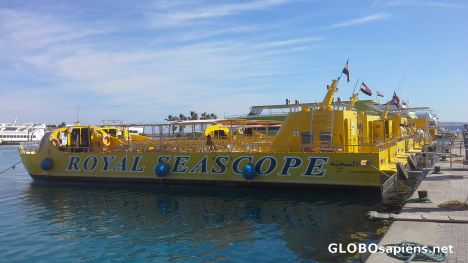 Postcard The fleet of glass bottom boats