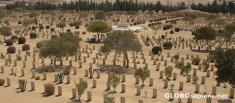 Postcard El Alamein commonwealth war cemetary