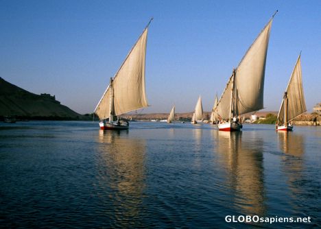 Postcard Aswan - feluccas on the Nile