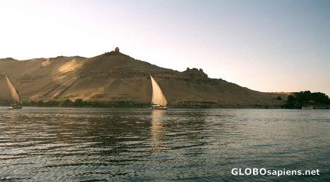 Postcard Feluccas on the Nile in Aswan