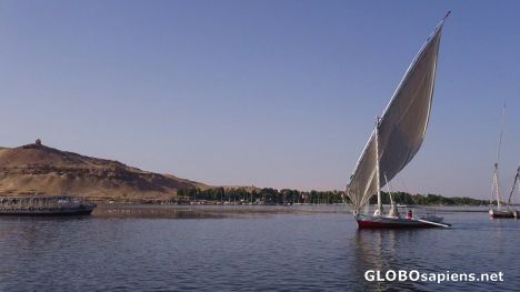 Postcard Feluka on the Nile