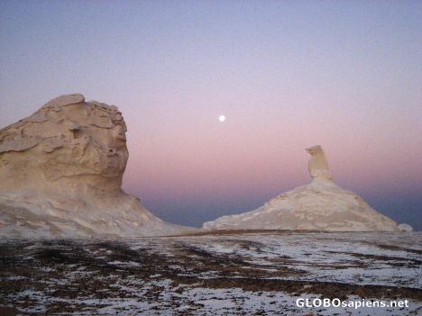 Postcard Full Moon in the rosy glow of morning