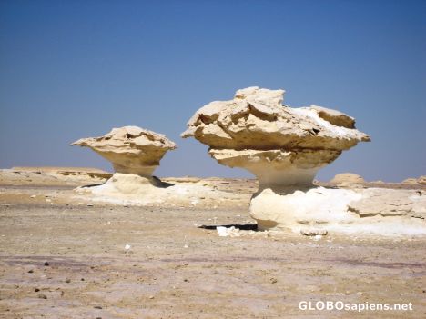 Postcard Mushroom Formations