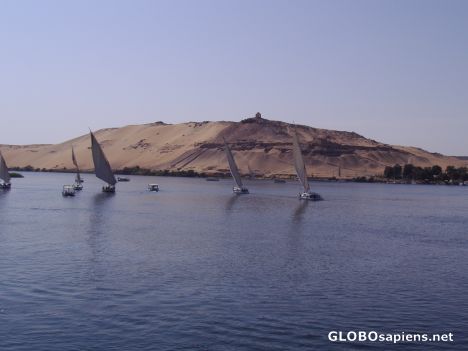 Postcard Nile