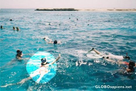 Postcard Snorkel or die!!!!