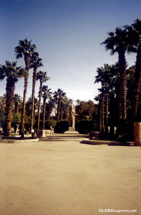 Postcard Gardens at Memphis