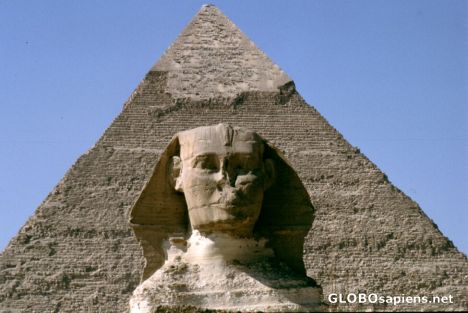 Postcard Sphinx