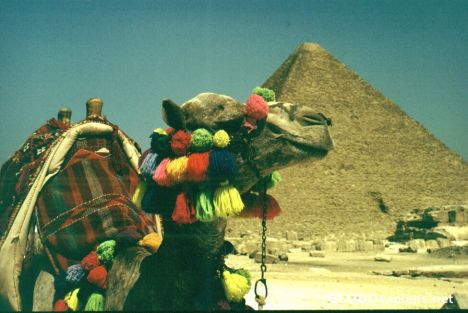 Postcard Pyramide