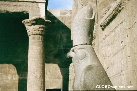 Postcard Horus