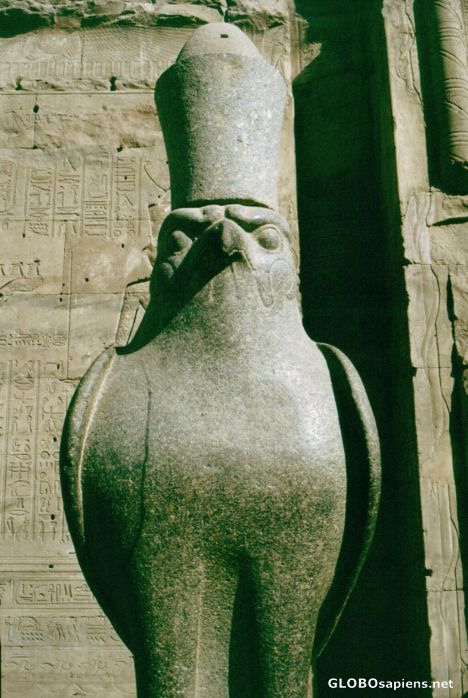 Postcard Horus