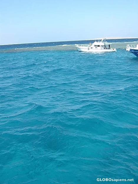 Postcard Diving spot