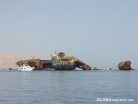 Postcard Red Sea