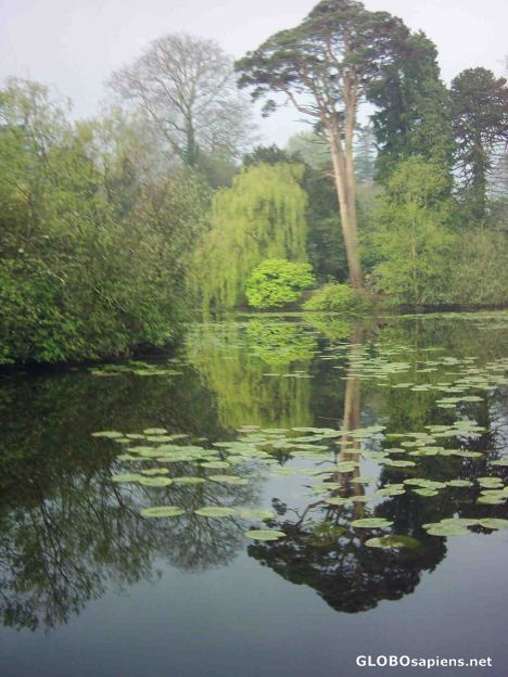 Postcard Altamount lake early spring