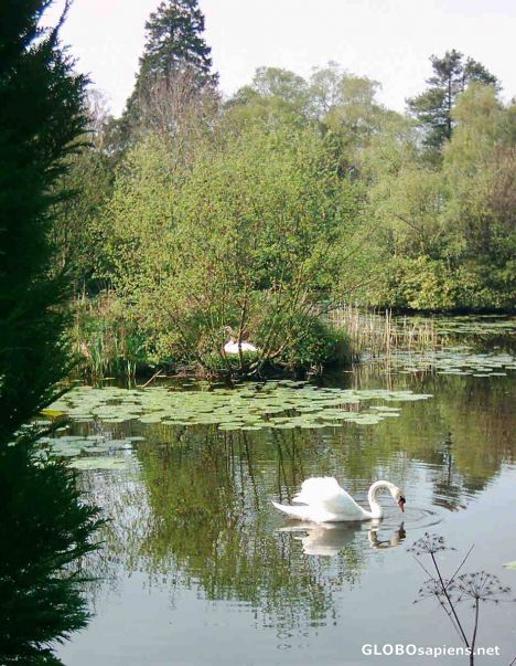 Postcard Spring Venture Altamount